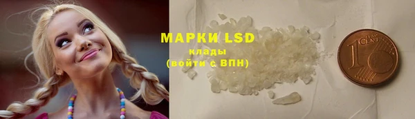 стафф Вяземский
