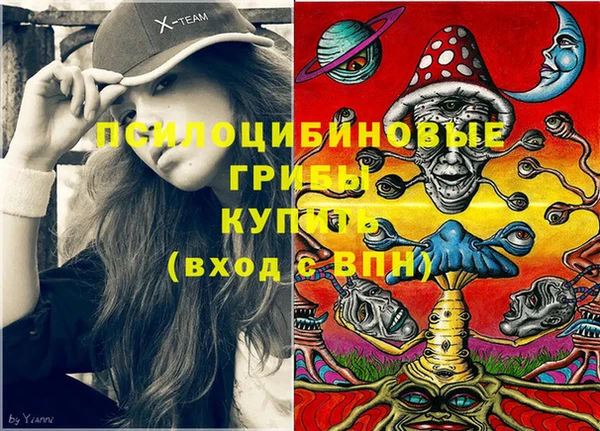 стафф Вяземский