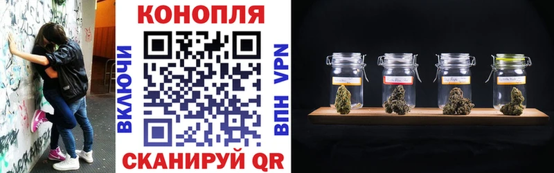 Бошки марихуана ГИДРОПОН  Купить где  Радужный 
